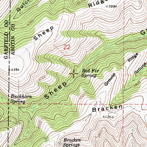 Topographic Map of Red Fir Spring, WA