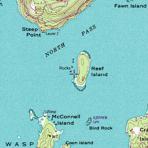 Topographic Map of Reef Island, WA