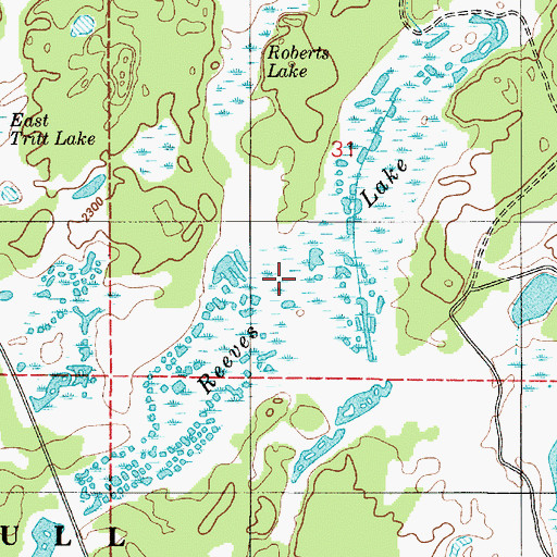 Topographic Map of Reeves Lake, WA
