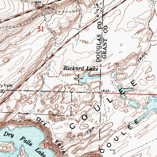 Topographic Map of Rickard Lake, WA