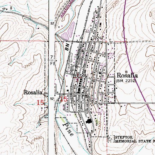 Topographic Map of Rosalia, WA