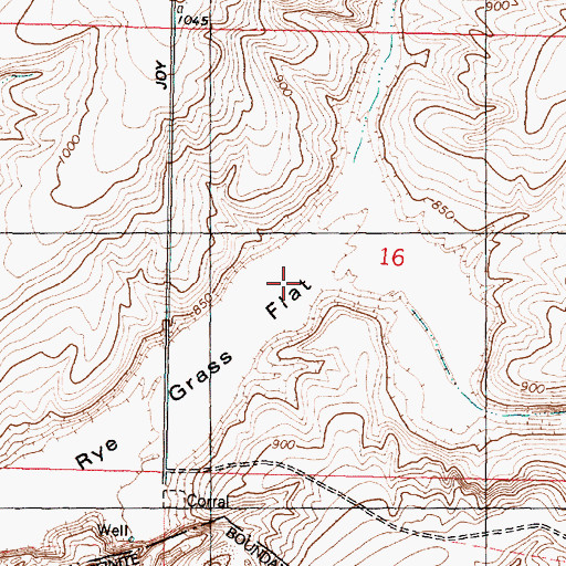 Topographic Map of Rye Grass Flat, WA