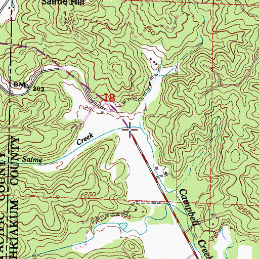 Topographic Map of Salme Creek, WA