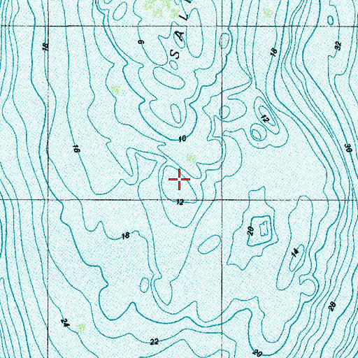Topographic Map of Salmon Bank, WA