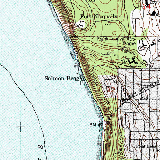 Topographic Map of Salmon Beach, WA