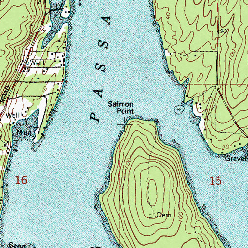 Topographic Map of Salmon Point, WA