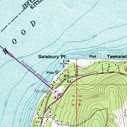 Topographic Map of Salsbury Point, WA