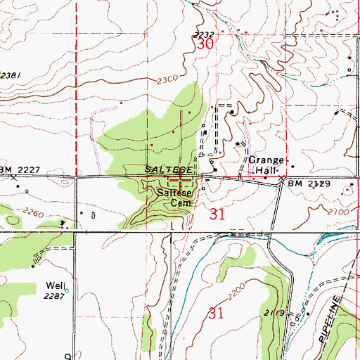 Topographic Map of Saltese Cemetery, WA