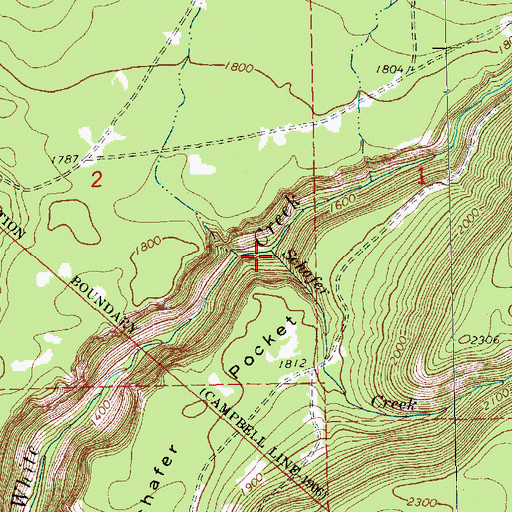Topographic Map of Schafer Creek, WA