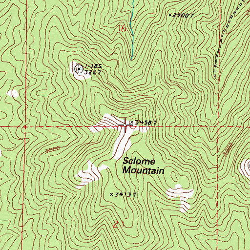 Topographic Map of Sclome Mountain, WA