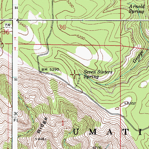 Topographic Map of Seven Sisters Spring, WA