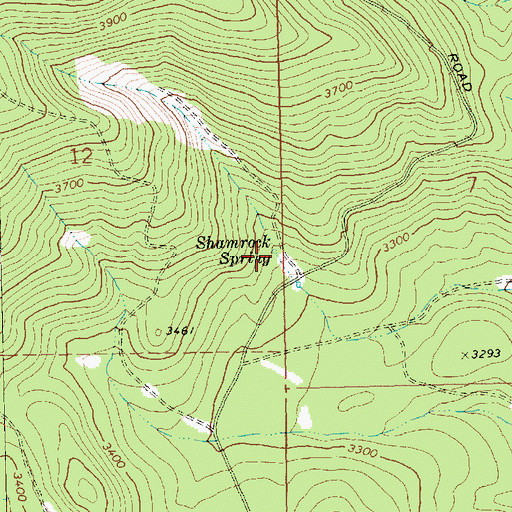 Topographic Map of Shamrock Spring, WA