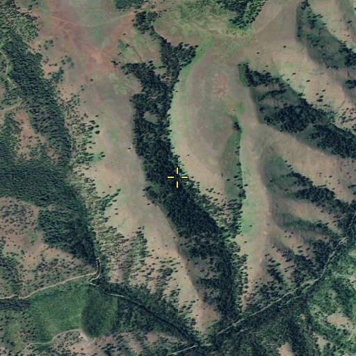 Aerial/Satellite Image of Sheep Gulch Spring, WA