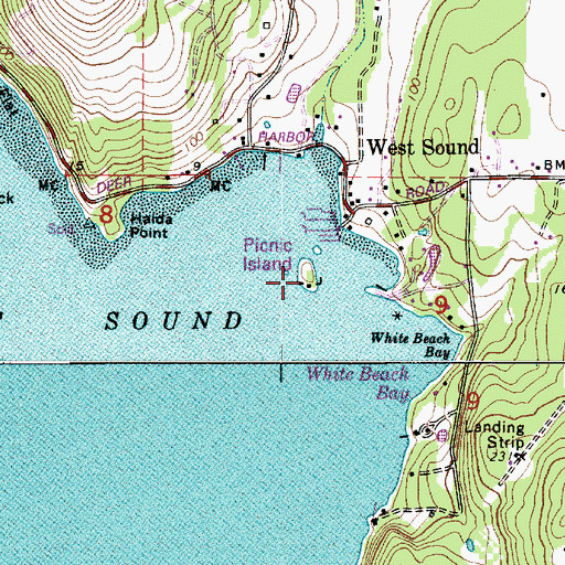 Topographic Map of Picnic Island, WA