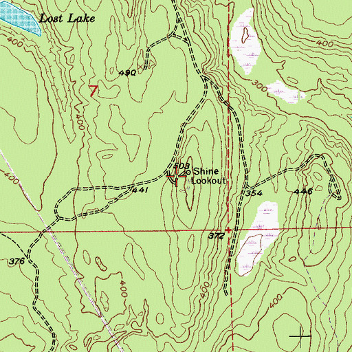 Topographic Map of Shine Lookout, WA