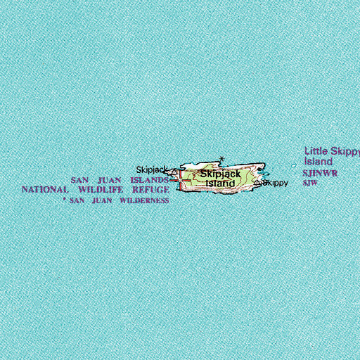 Topographic Map of Skipjack Island, WA