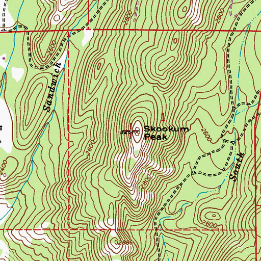 Topographic Map of Skookum Peak, WA