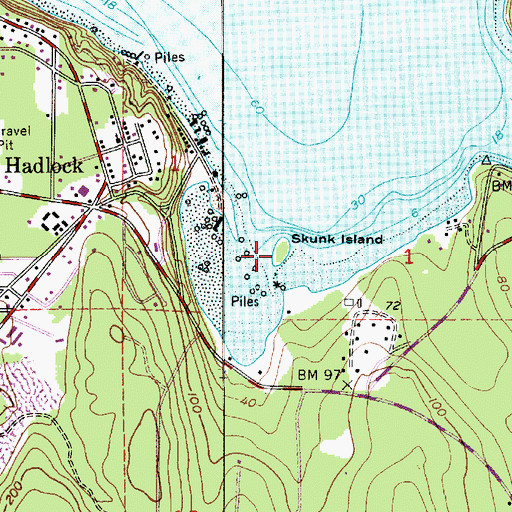 Topographic Map of Skunk Island, WA