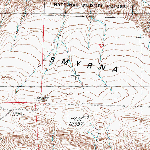 Topographic Map of Smyrna Bench, WA