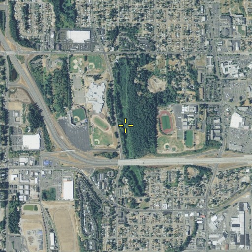 Aerial/Satellite Image of Snake Lake, WA