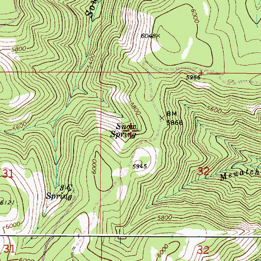 Topographic Map of Snow Spring, WA