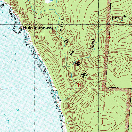 Topographic Map of South Branch Ellen Creek, WA