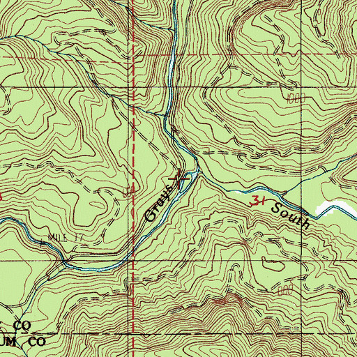 Topographic Map of South Fork Grays River, WA
