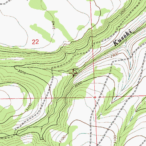 Topographic Map of South Fork Kusshi Creek, WA
