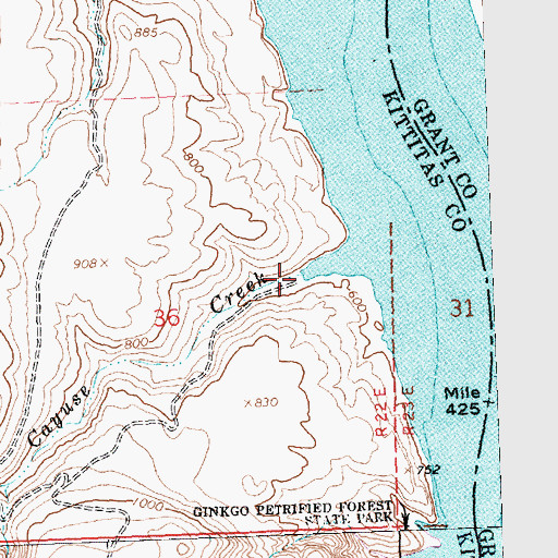 Topographic Map of Spring Cayuse Creek, WA