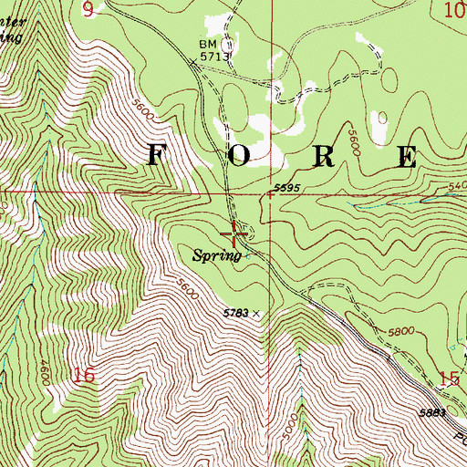 Topographic Map of Spruce Spring Campground, WA