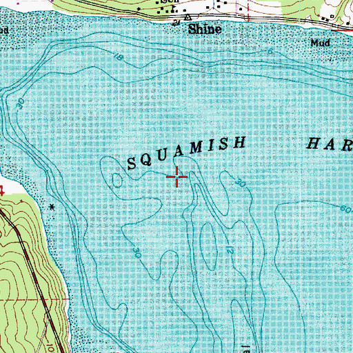 Topographic Map of Squamish Harbor, WA