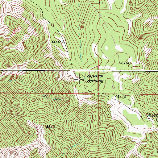 Topographic Map of Squaw Spring, WA