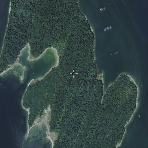 Aerial/Satellite Image of Squaxin Island, WA