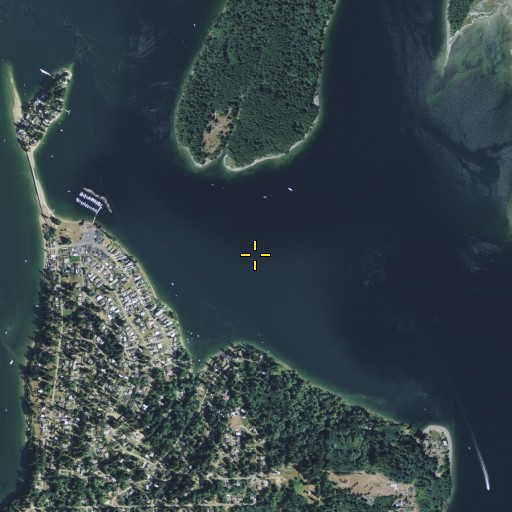 Aerial/Satellite Image of Squaxin Passage, WA