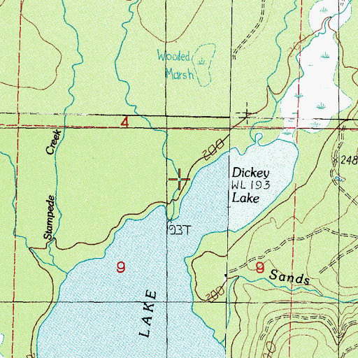 Topographic Map of Stampede Creek, WA