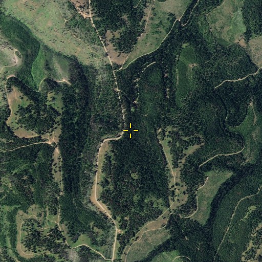 Aerial/Satellite Image of Stentz Spring, WA