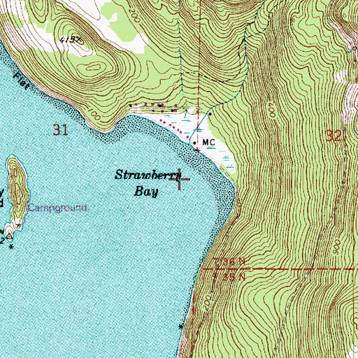 Topographic Map of Strawberry Bay, WA