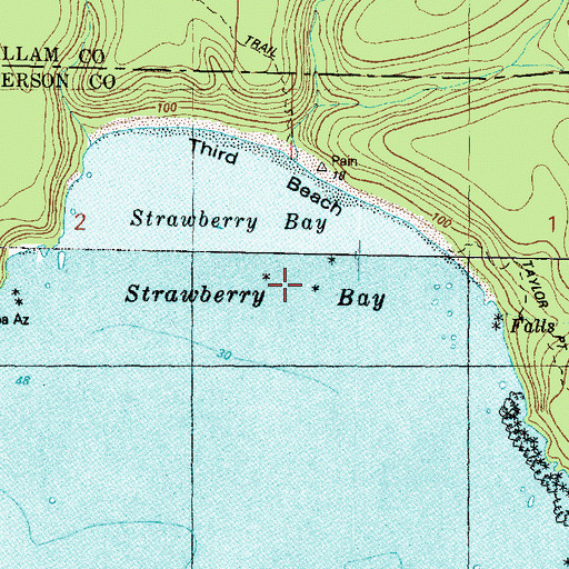 Topographic Map of Strawberry Bay, WA