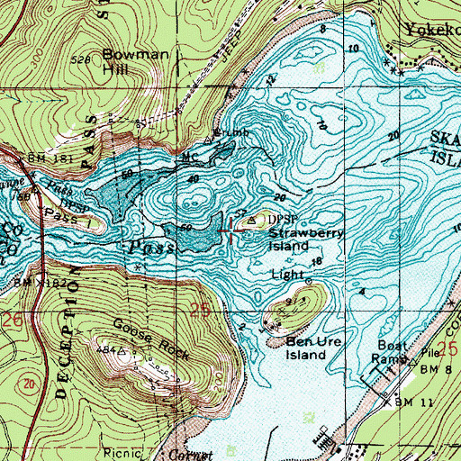 Topographic Map of Strawberry Island, WA