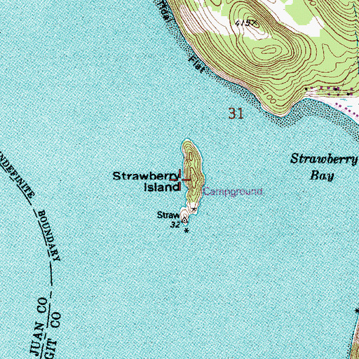 Topographic Map of Strawberry Island, WA