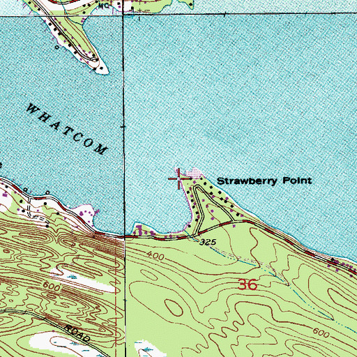 Topographic Map of Strawberry Point, WA