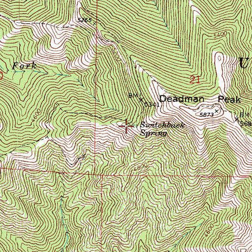 Topographic Map of Switchback Spring, WA
