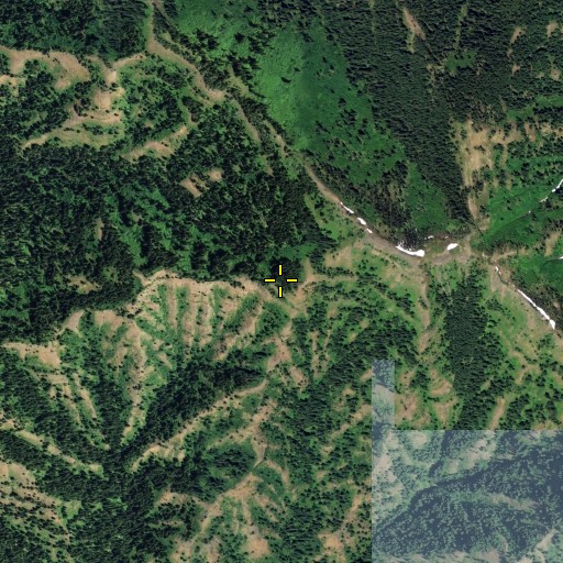 Aerial/Satellite Image of Switchback Spring, WA