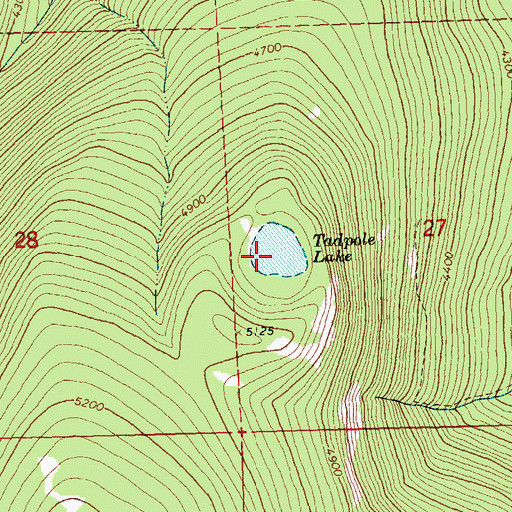 Topographic Map of Tadpole Lake, WA