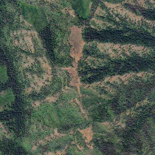 Aerial/Satellite Image of Tallow Flat, WA