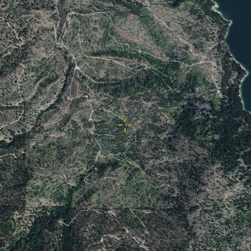 Aerial/Satellite Image of Tamarack Flat, WA