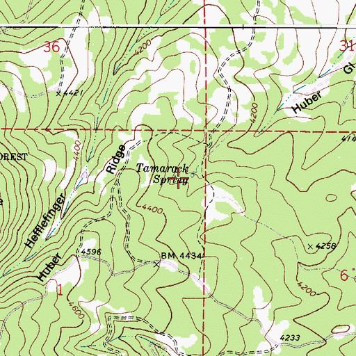 Topographic Map of Tamarack Spring, WA