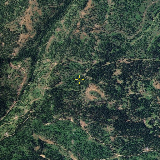 Aerial/Satellite Image of Tamarack Spring, WA