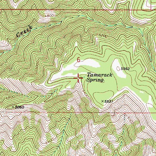Topographic Map of Tamarack Spring, WA