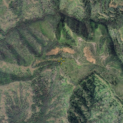 Aerial/Satellite Image of Tamarack Spring, WA